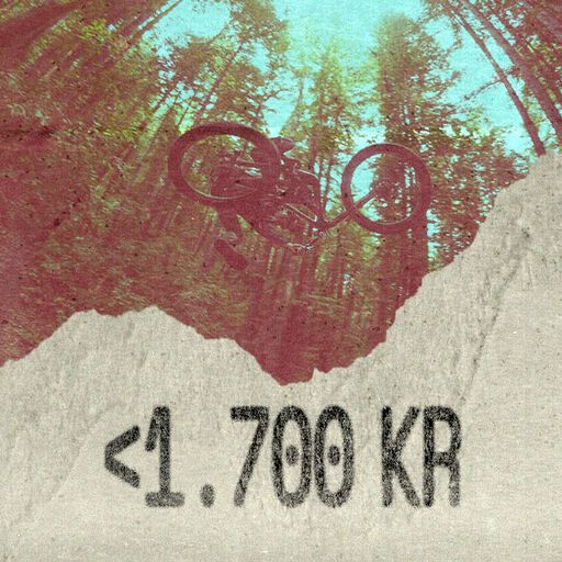 Fox Travel Gift Guide